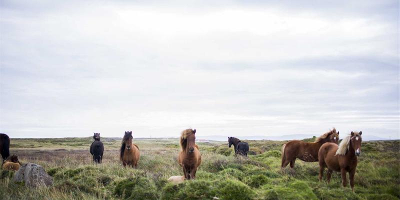 5G商用的“神经末梢”：深度解析多接入边缘计算(MEC)如何重塑网络安全与业务效能