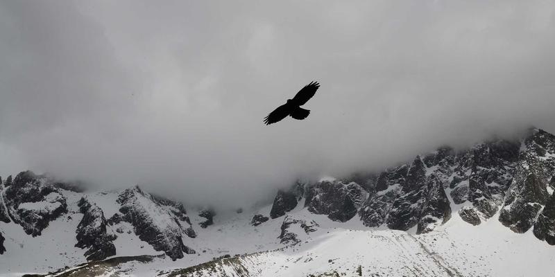 BYB818揭秘：基于P4编程语言的数据平面可编程技术如何重塑网络，实现自定义协议与安全策略