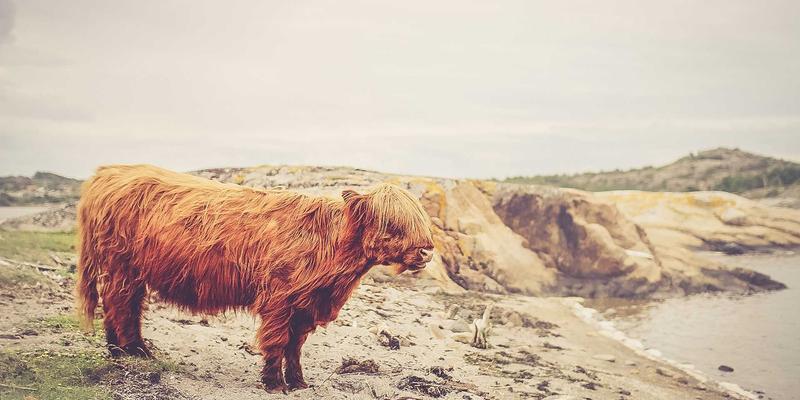 从虚拟机到容器：NFV与CNF技术演进深度解析与混合部署实战指南