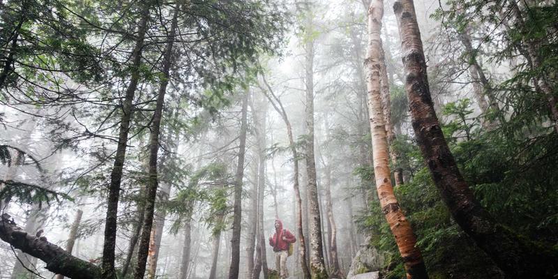 从零到一：构建内生安全网络的编程实战与资源全攻略