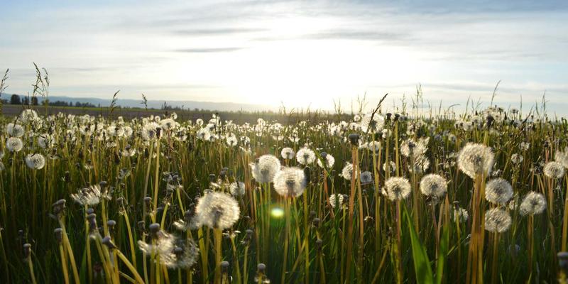 网络切片：解锁5G行业专网差异化服务的核心技术引擎